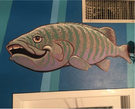 grouper_308w_248h.png pic is suppose to go here.